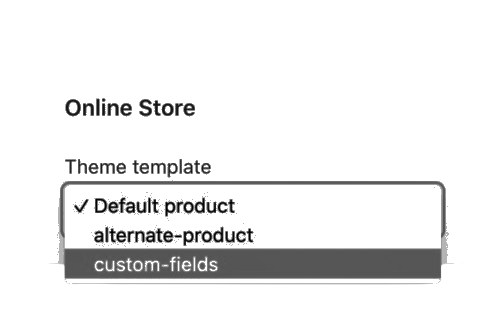 Shopify Custom Fields