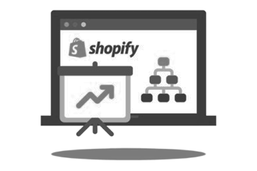 Shopify Data Migration